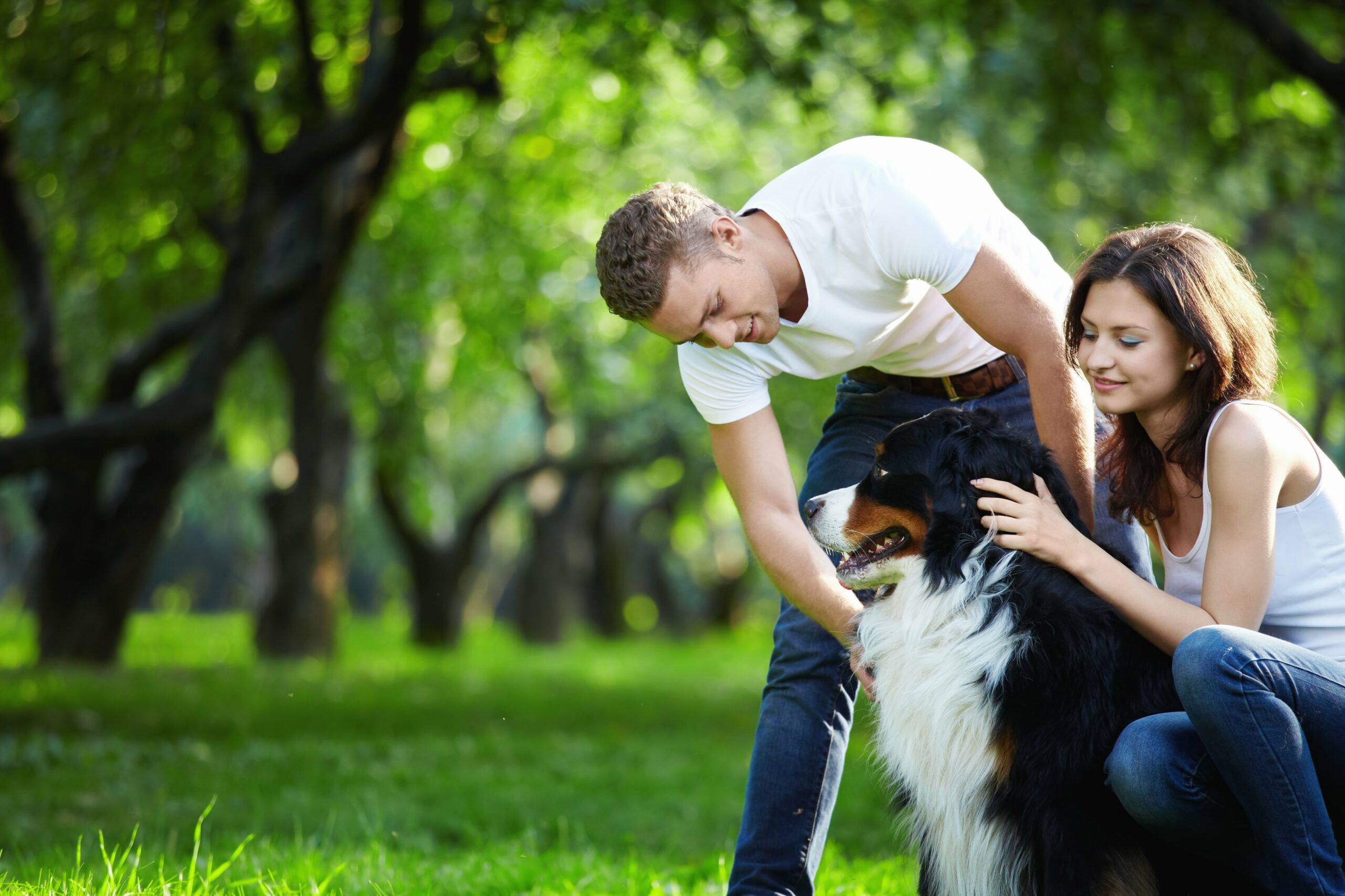 Couple petting their dog in the park